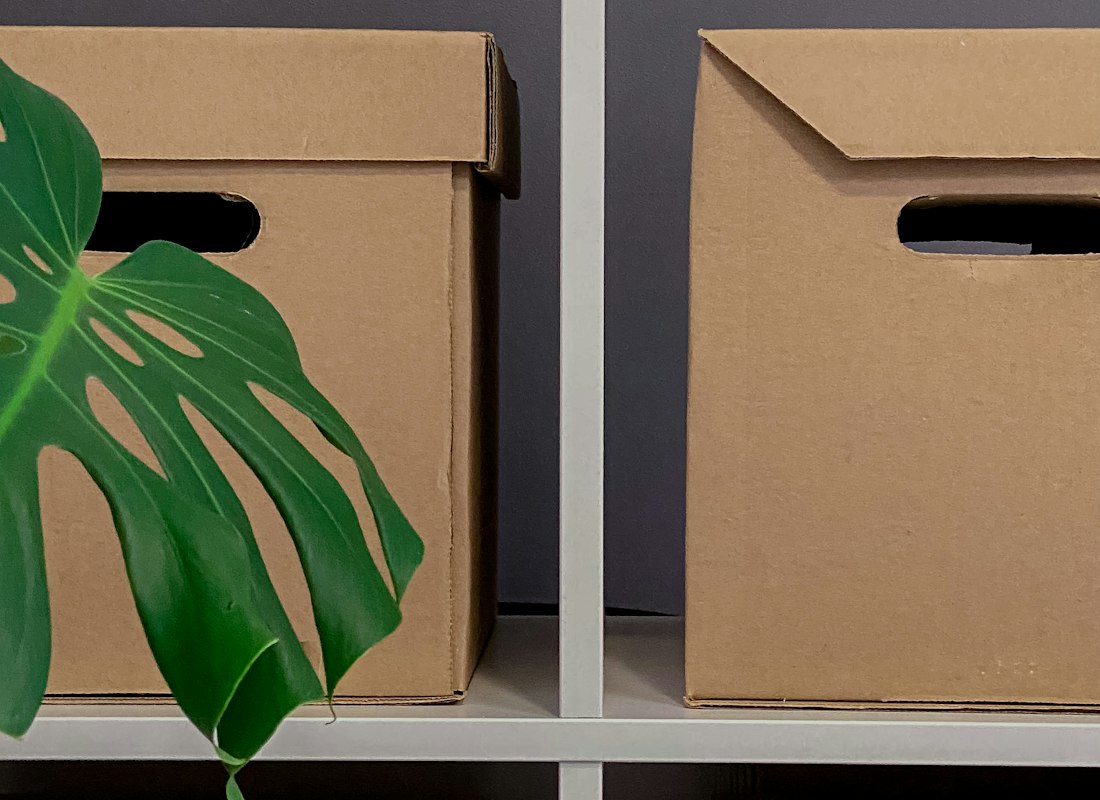 Potted plant in a decorative box displayed on open home shelving